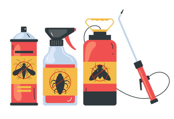 Best Spider Control Near Me  in Belle Glade, FL