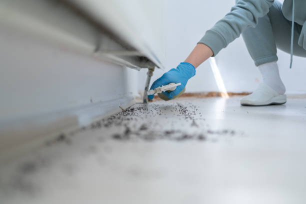 Best Commercial Pest Control Services  in Belle Glade, FL